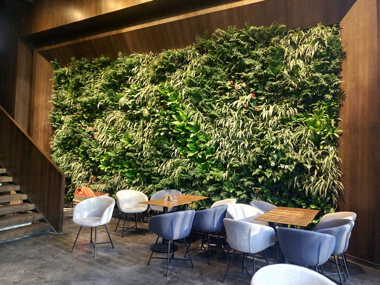 植物墙