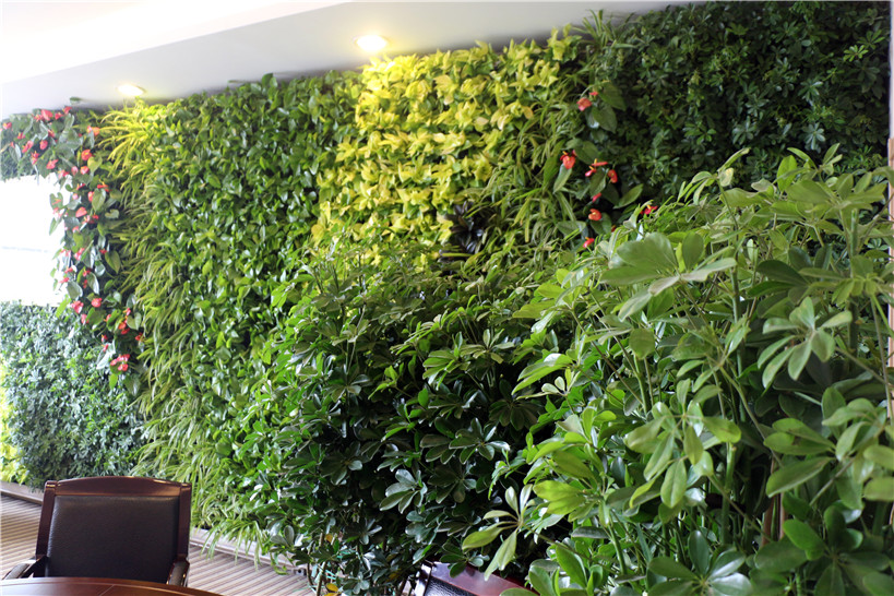 垂直绿化,绿植墙,绿化墙,墙面绿化,植物墙