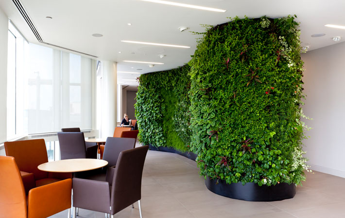 垂直绿化,绿植墙,绿化墙,墙面绿化,植物墙