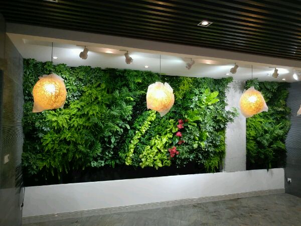 金信欧艺植物墙,绿植墙,墙面绿化,立体绿化,垂直绿化