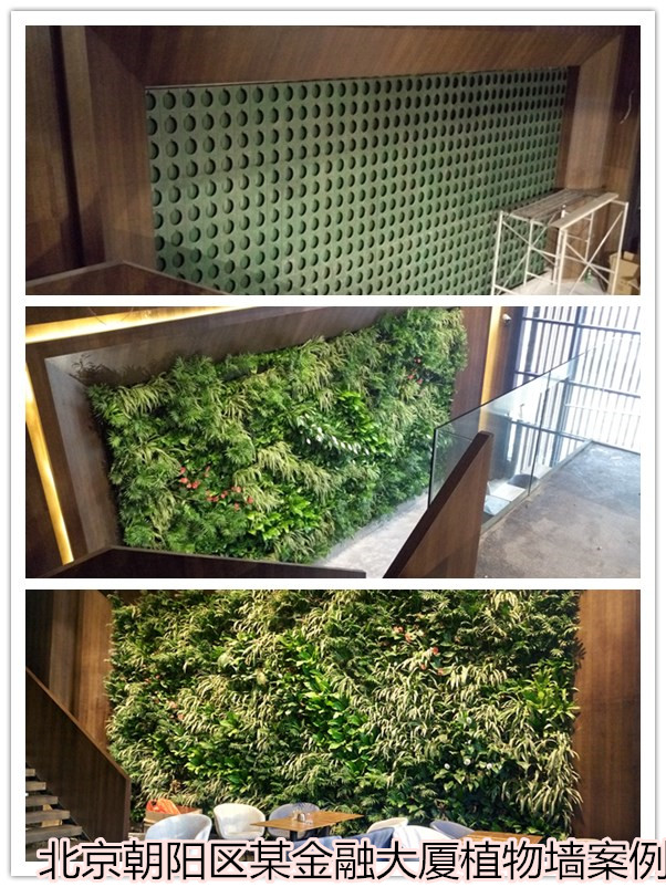 植物墙定制,植物墙做法,绿植墙做法,植物墙怎么做,绿植墙如何做