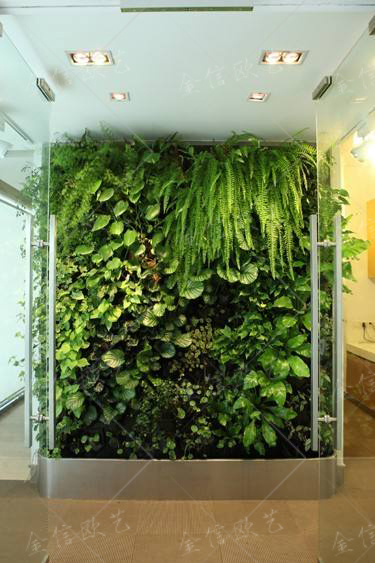绿植墙