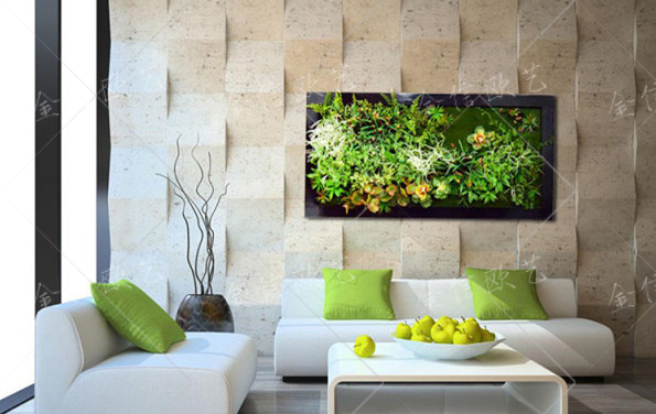 植物墙壁画