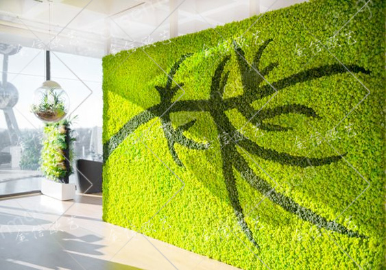 13绿植墙苔藓墙