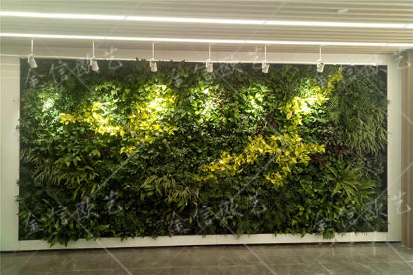 13绿植墙植物墙