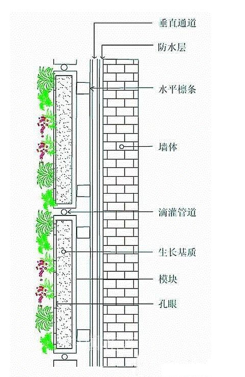 骨架植物墙绿植墙