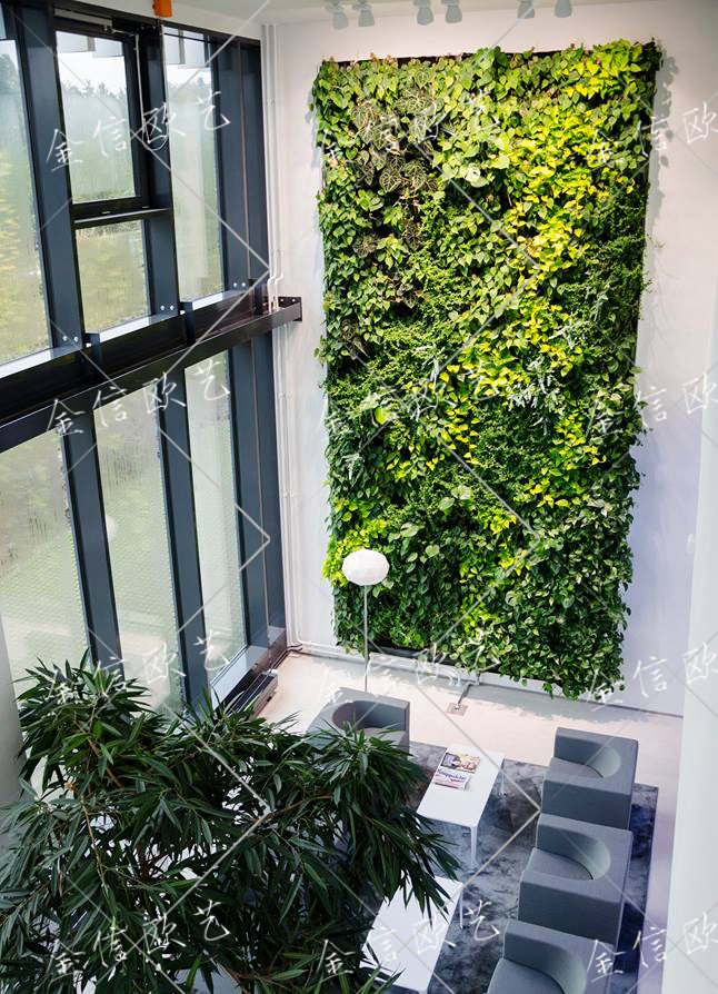 7.18植物墙绿植墙1