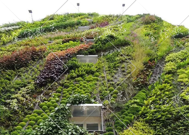 7.19绿植墙植物墙