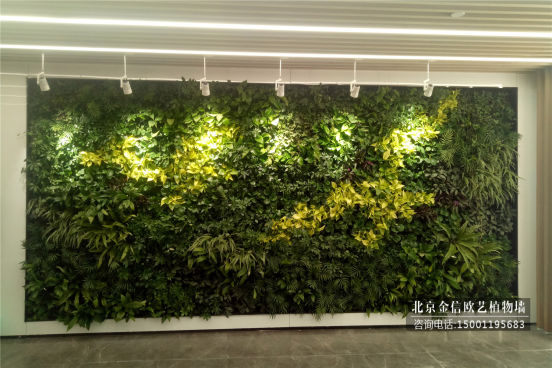绿植墙