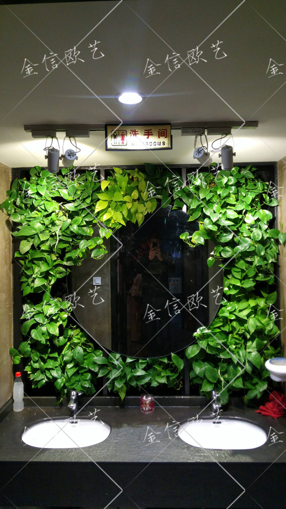 7.24植物墙3