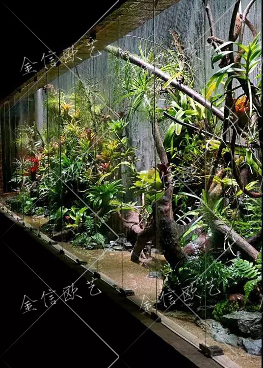 生态缸2