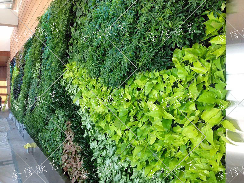 7.23绿植墙