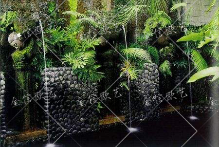 水景植物墙