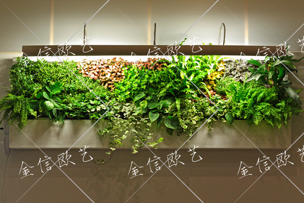 7.20植物墙绿植墙