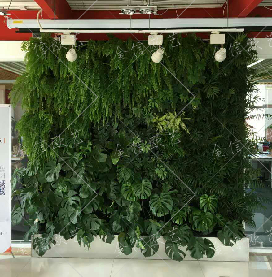 8.3含有龟背竹植物墙