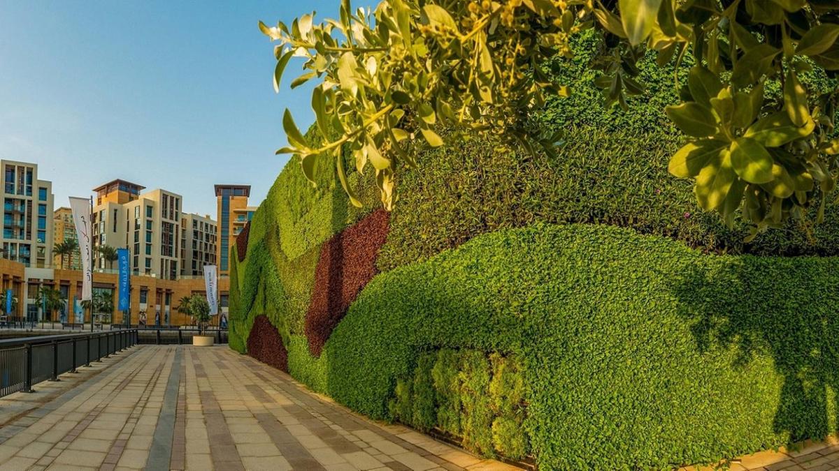 LF05JUNE-Green-Wall (2)