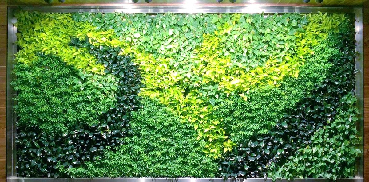 living-wall-plant-living-wall-full-diy-succulent-living-wall-planter
