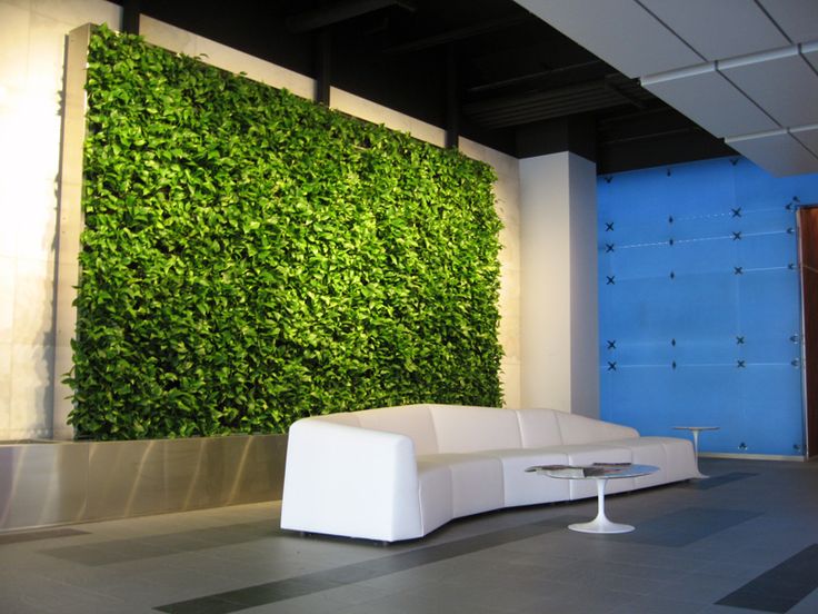 84c4a4213a472feb78168402c4602042--office-reception-green-walls