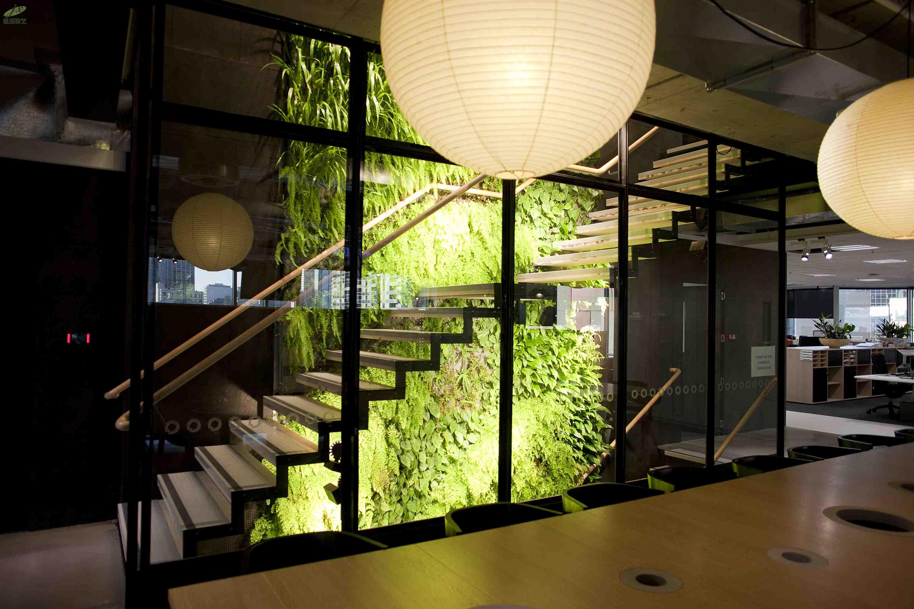 very-attractive-design-green-wall-office-the-greenwall-company