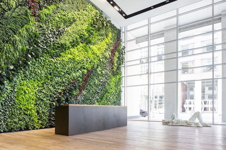 Foundry-Square-living-wall-by-Habitat-Horticulture-7