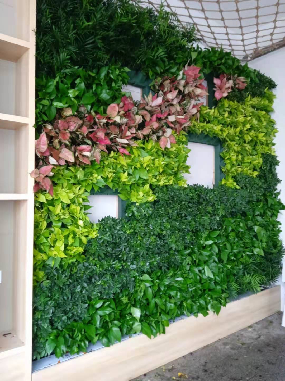 微信图片_20210903212511