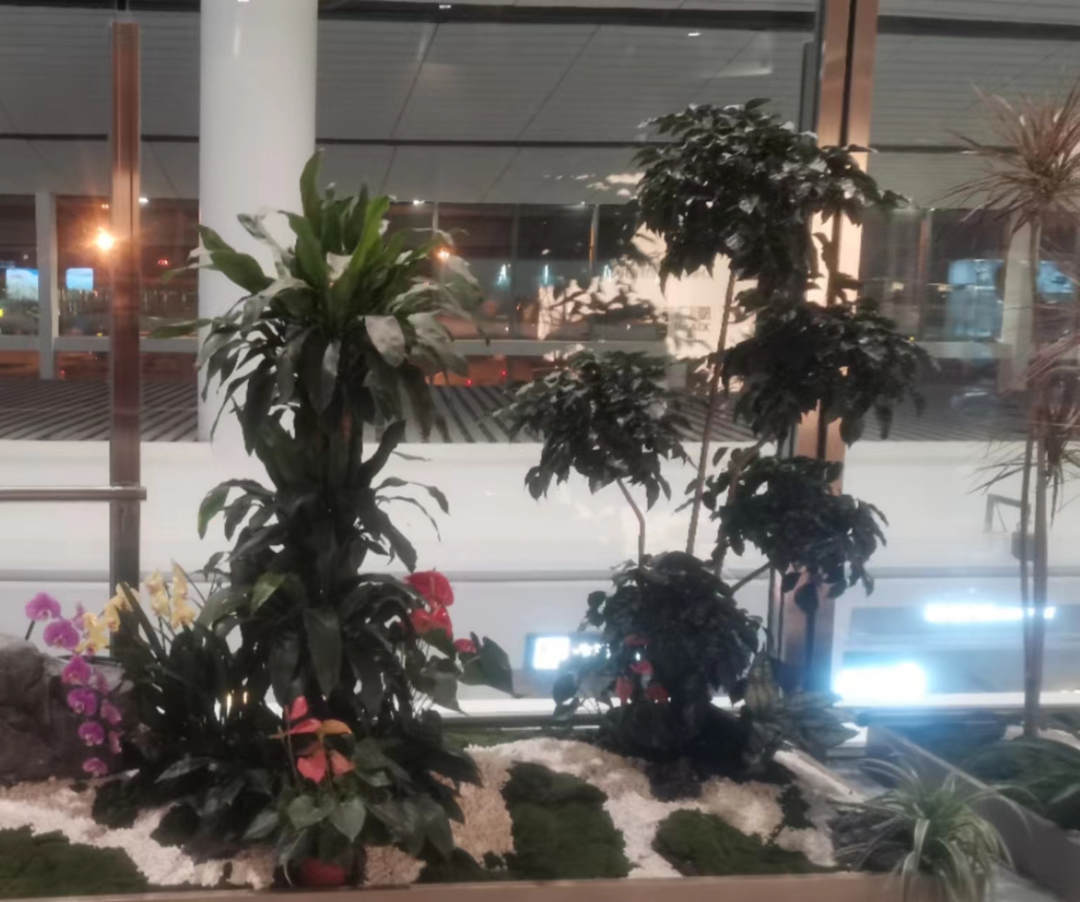 北京绿植墙机场案例