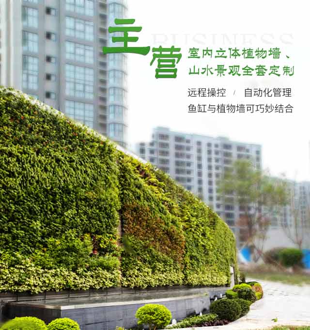 金信欧艺主营室内立体植物墙、山水景观全套定制