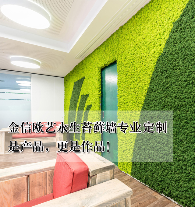 金信欧艺永生苔藓墙定制，定制您的独一无二！